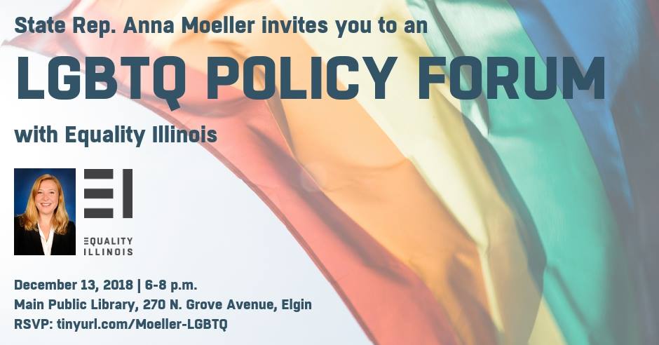 Rep. Anna Moeller's LGBTQ Policy Forum with Equality Illinois