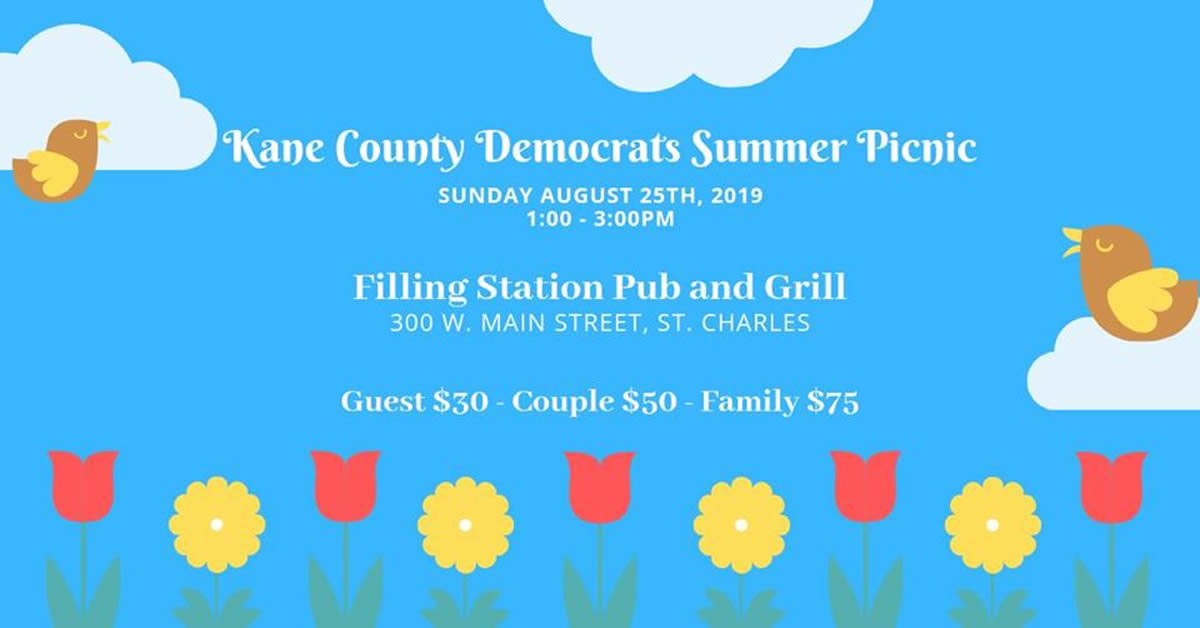 Kane Dems Summer Picnic