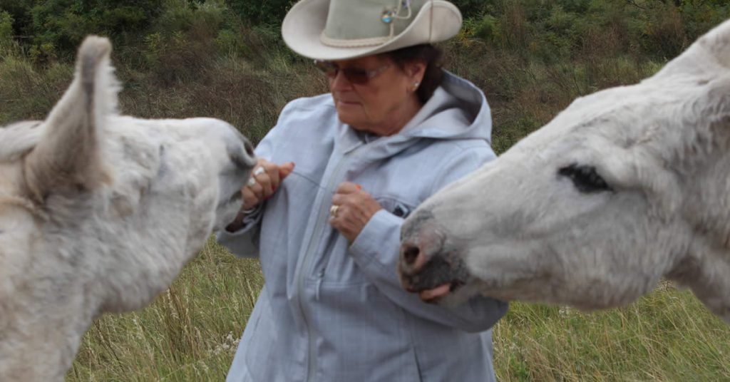 Janice Bennett and Donkeys