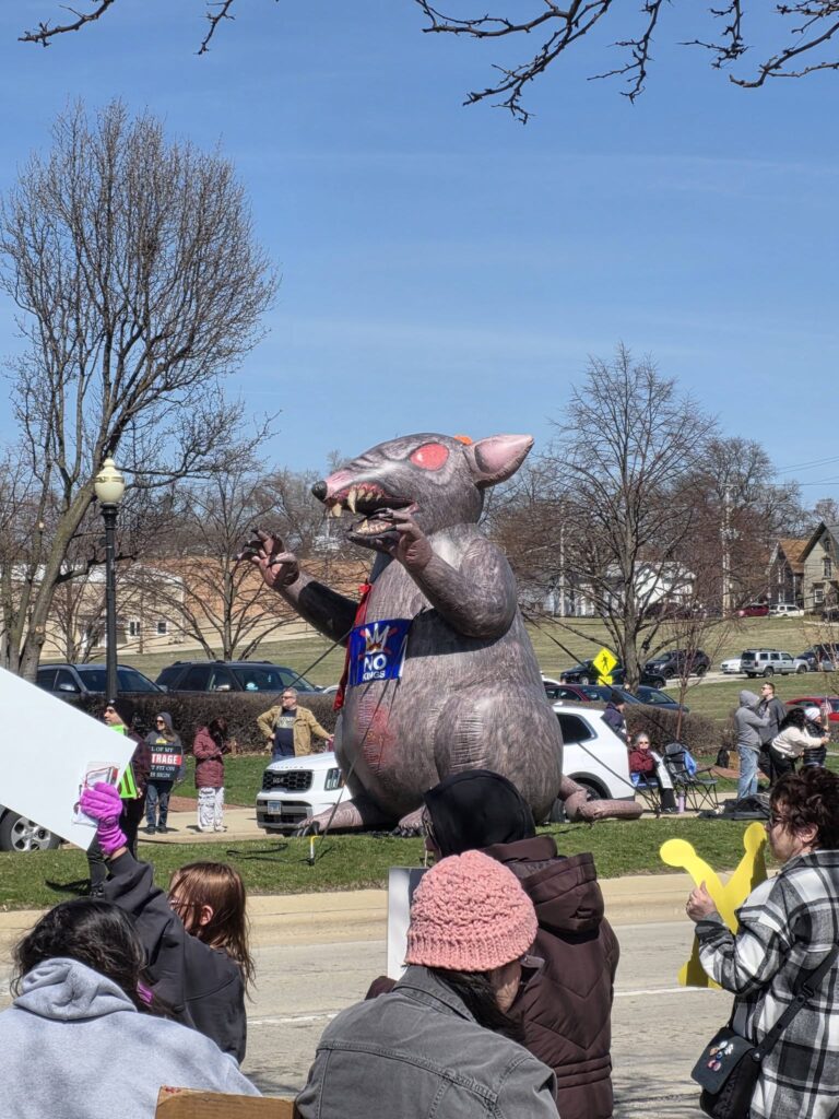 no kings 3 in elgin 02