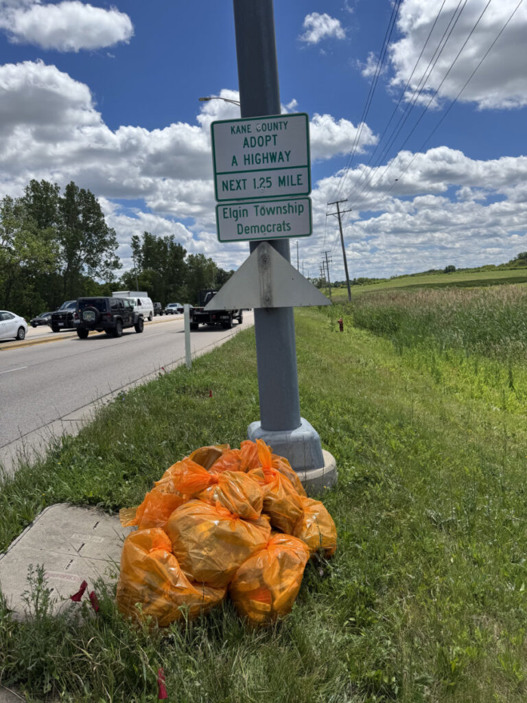 elgin township democrats highway cleanup 6 20 2026 02
